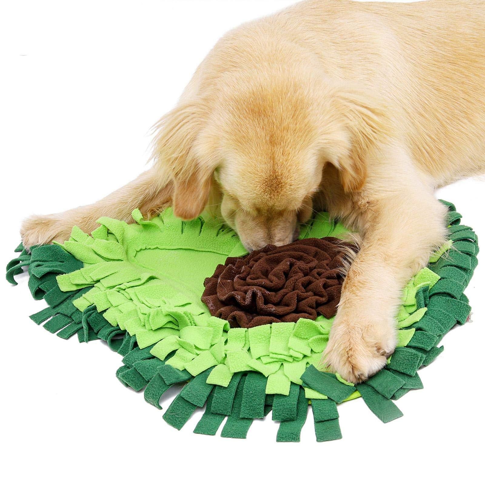 Dog Snuffle Mat for Mental Stimulation & Slow Feeding - Image 6