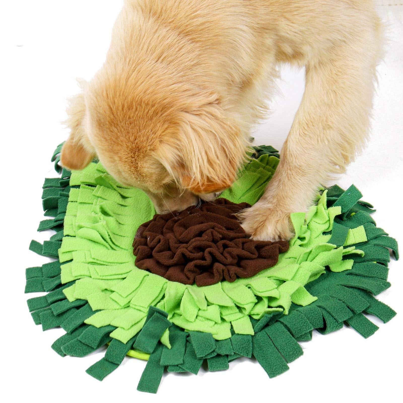 Dog Snuffle Mat for Mental Stimulation & Slow Feeding - Image 7