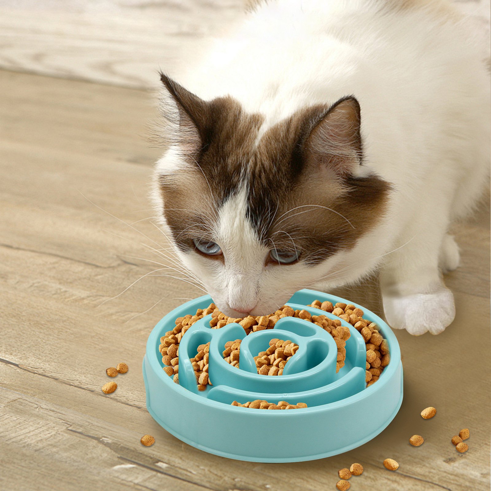 Slow Feeder Dog Bowl for Fast Eaters - Image 3