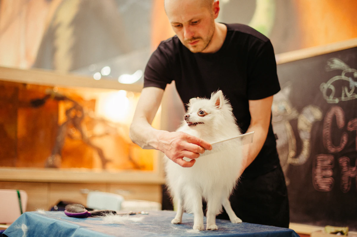 Man using a dog grooming brush to work through mats and tangles